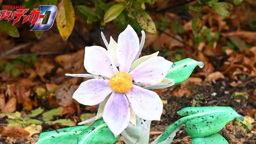 acgn漫评|德凯奥特曼8话追加先行图 开花的齐杰兰 特利迦再会卡尔蜜拉