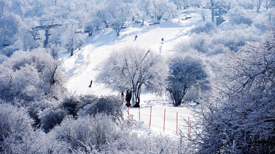 海螺沟|全国冰雪旅游精品线路出炉！阿坝州三地上榜！