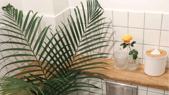 卫生间“打死也别放”4种东西，慢慢偷走寿命，有钱人一看就明白