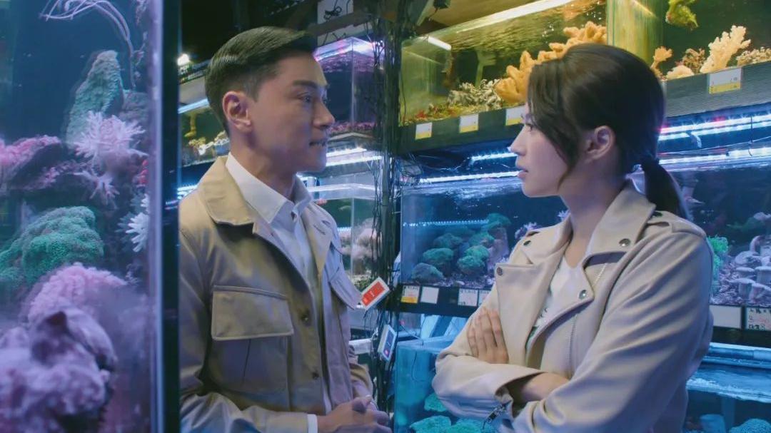 黑金风暴|《黑金风暴》圆满落幕，如果有第二季你还会追吗？