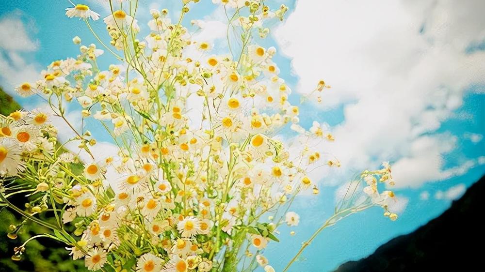 退休|年过五十，不管有钱没钱，都要少跟以下几种人联系，没意义