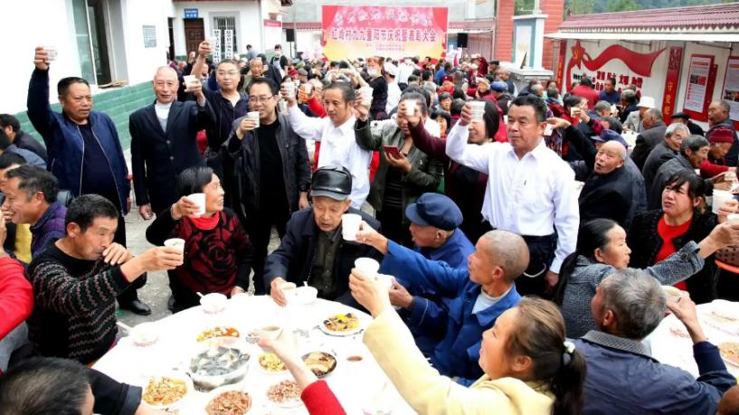 同为口粮酒，黄盖玻汾和绿脖西凤谁“更胜一筹”？行家：差别太大