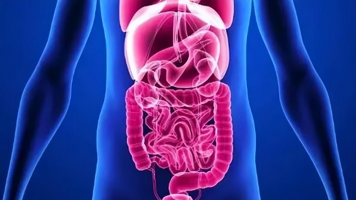 养生|想要健康长寿，从养五脏开始，尤其是五脏最受用的几个动作学起来