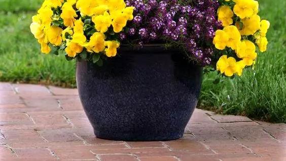 花园改造设计，手把手教你打造最美花园