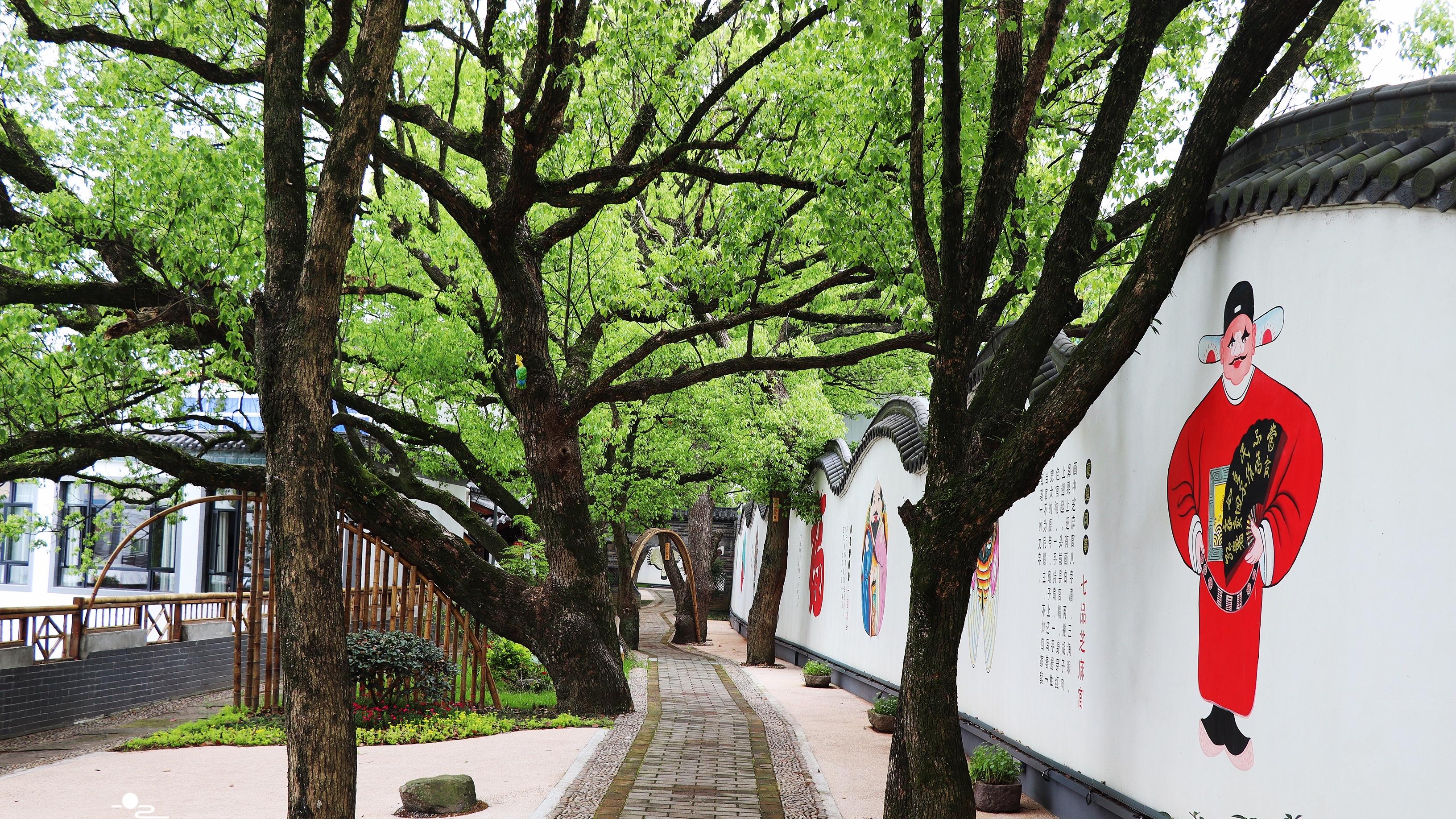 |千年渔村变身风筝村，浙江这个古村用艺术装扮诗画田园，太美了