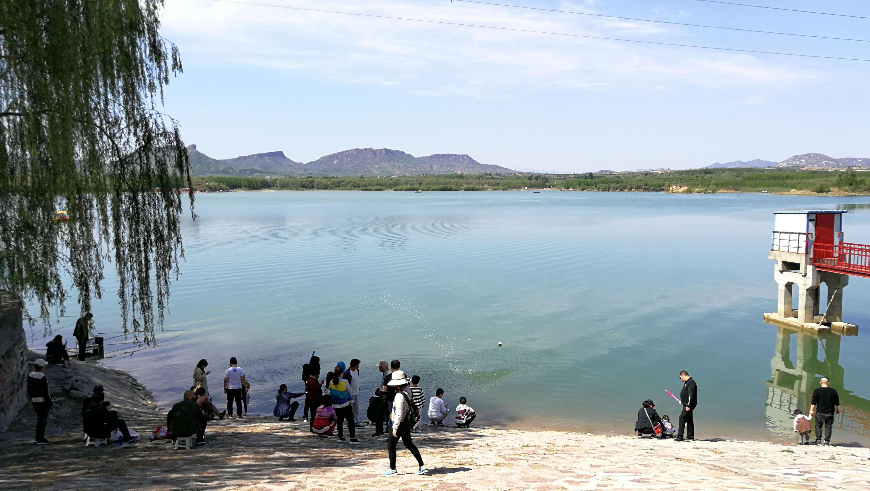 水库|收费水库投放养殖鱼，成为“人放天养”，钓这类鱼有什么讲究？