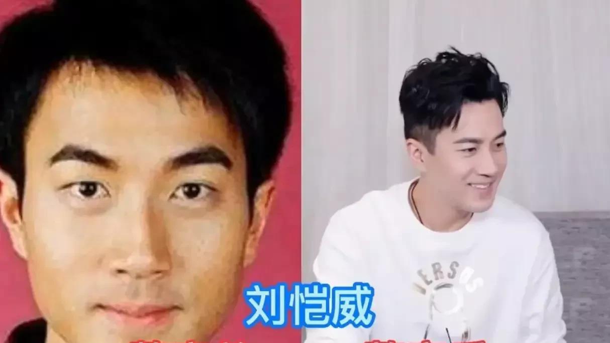 整容|整容的男星，胡歌车祸无奈选择整容，华晨宇直接从土包变男神