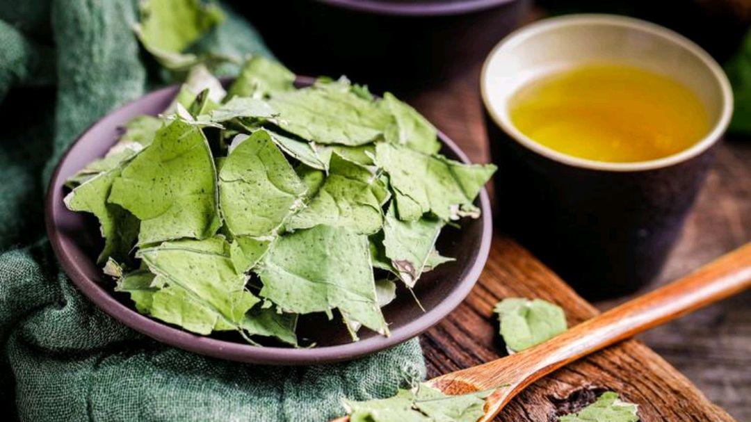 茼蒿 夏天如何燃脂瘦身？请记住四个重点，帮助瘦身塑形，还不容易反弹