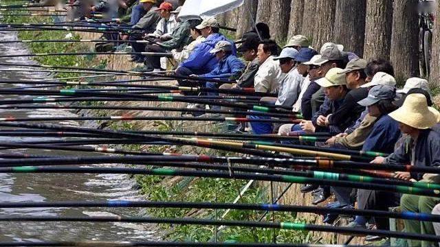 鲢鳙|哪个省份钓友多？对这个钓鱼大户众说不一，看我是怎么排位的