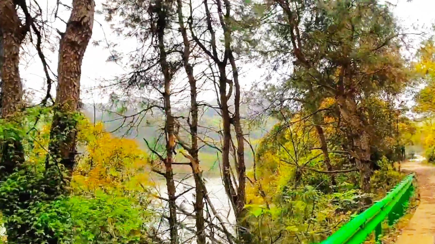 |游逛武汉郊区这座无名水库，盘山公路环绕在森林里，岸边有钓鱼人