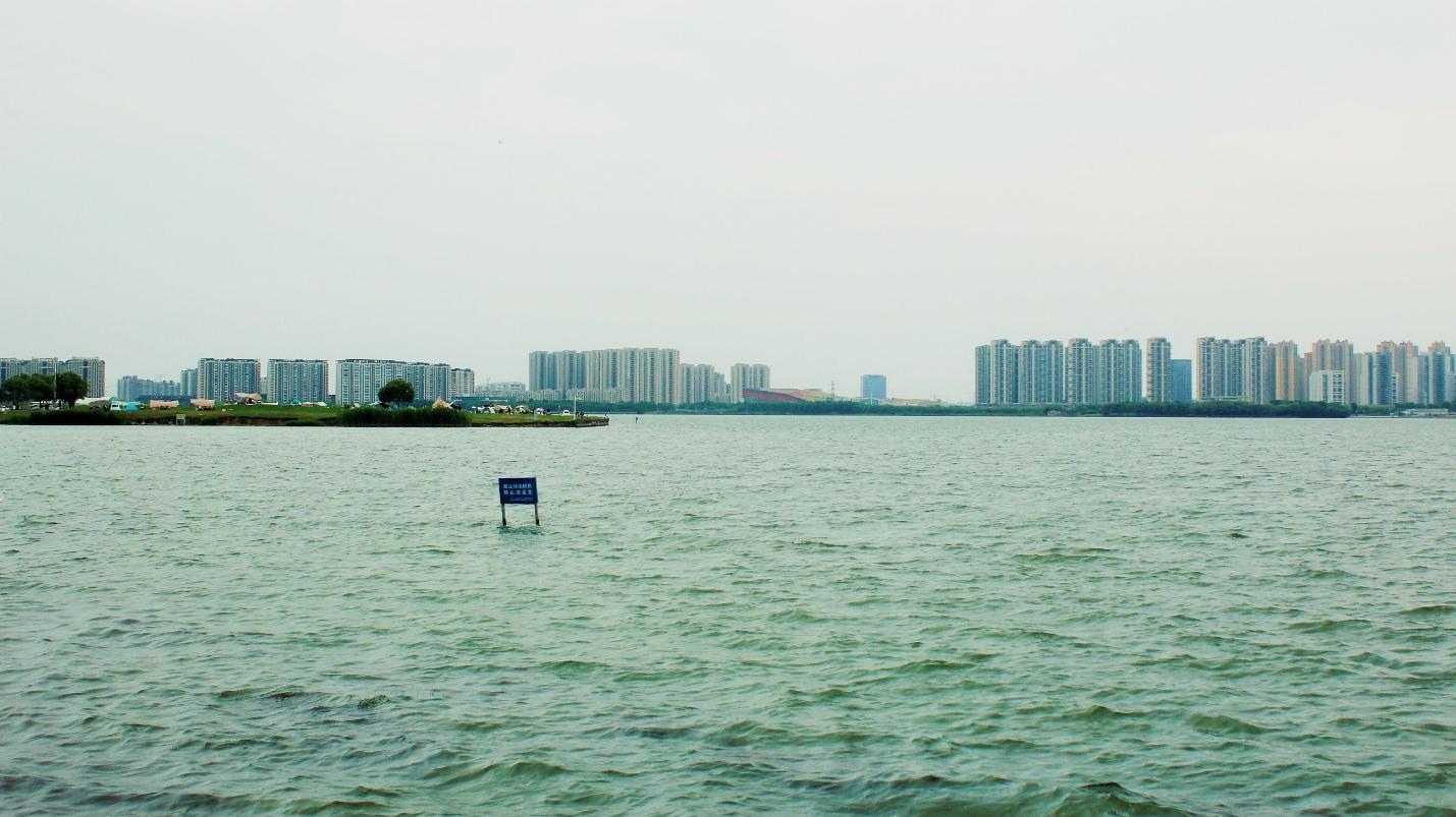 Python|浅谈SAP顾问未来十年在中国的发展前景