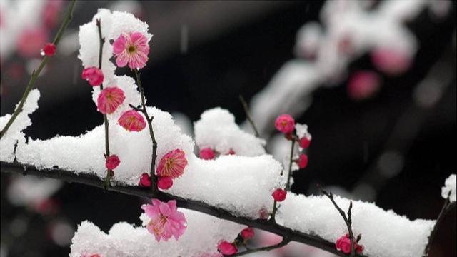 退步原来是向前：四首饱含人生大智慧的禅诗，让我们豁然开朗