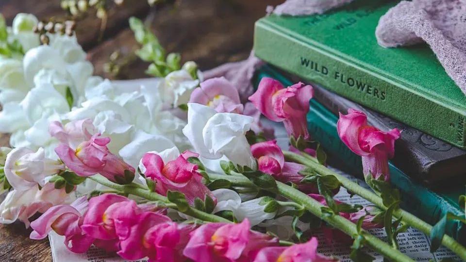 三星|今年全球彩电市场前五大品牌唯一增长, 来自中国