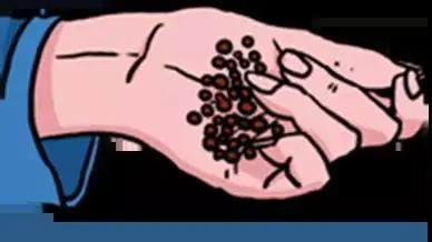 感冒|中医中药是如何治疗银屑病的？看完你就知道了