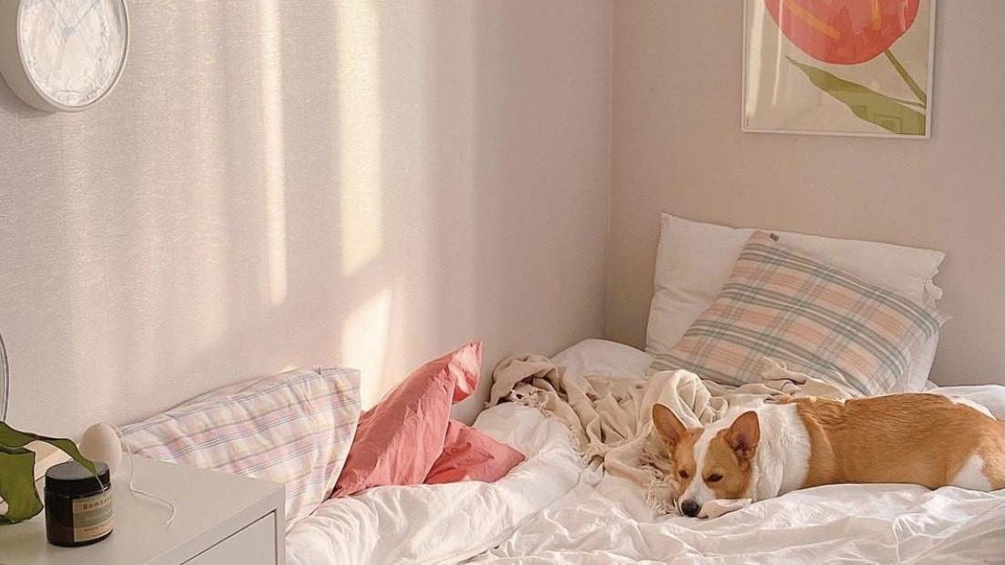 45平！一个人住！韩国女主的精致生活，让人羡慕，一点也不将就！