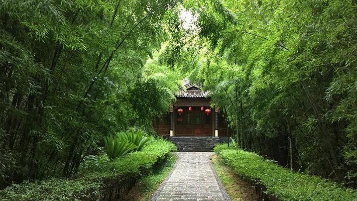 上海市|武汉一景区走红，内部植被繁茂，是绝好的“天然氧吧”