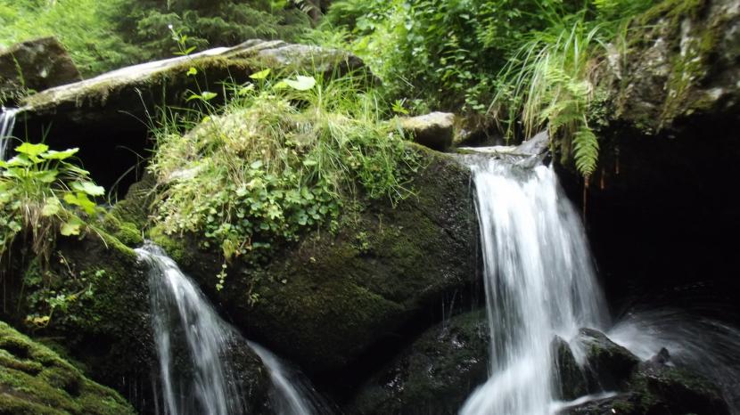 星座爱情观|这些星座喜欢你才会黏着你，越喜欢你越不愿与你分开！
