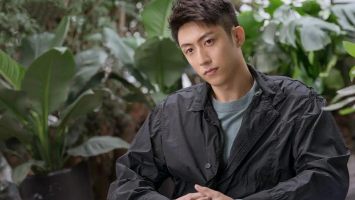 黄景瑜|黄景瑜重磅新剧被传来袭！《小姨多鹤》导演执导，女主实力不俗