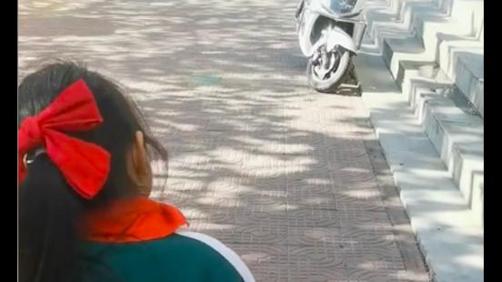 网友惩罚女儿独自去学校，怀孕狗狗不放心，每天挺着大肚子护送！