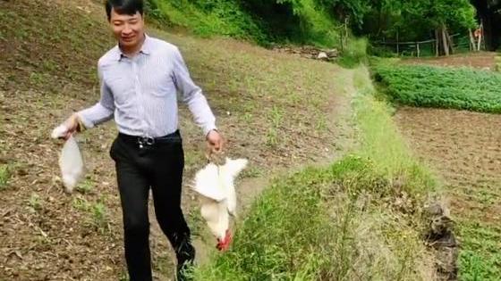 余秀华|余秀华父亲来探望女儿，杨槠策买鸡招待，被摄像调侃缺个小娃娃