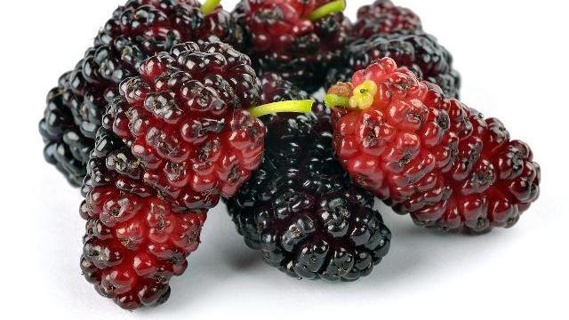 黑豆|女人常吃十种食物，40岁仍是少女脸，气色好显年轻，化妆品都省了