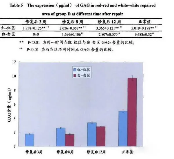 运动员|中国女足第9次夺得亚洲杯冠军——虽然精彩绝伦，但运动员受伤的风险也大大增加