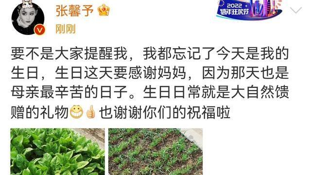 张馨予|张馨予为自己庆生画风清奇，晒自家菜园不忘感谢妈妈