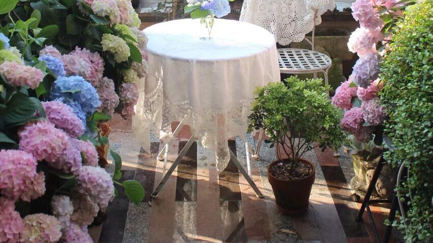 5年前，买了套顶楼带露台，打造成一个365天，都有花开的露台花园