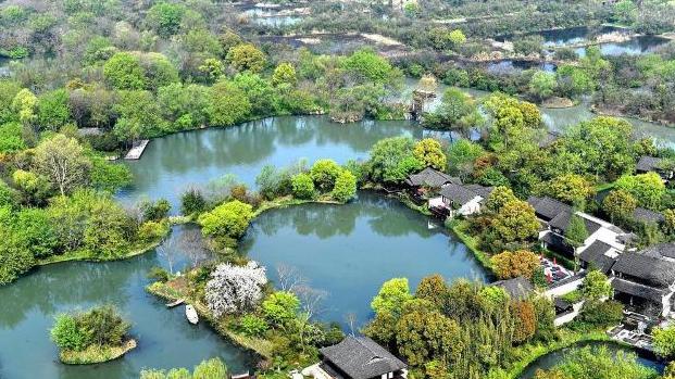 西溪湿地|“三西”之一的杭州西溪湿地，春季来临后，返璞归真下处处浪漫！