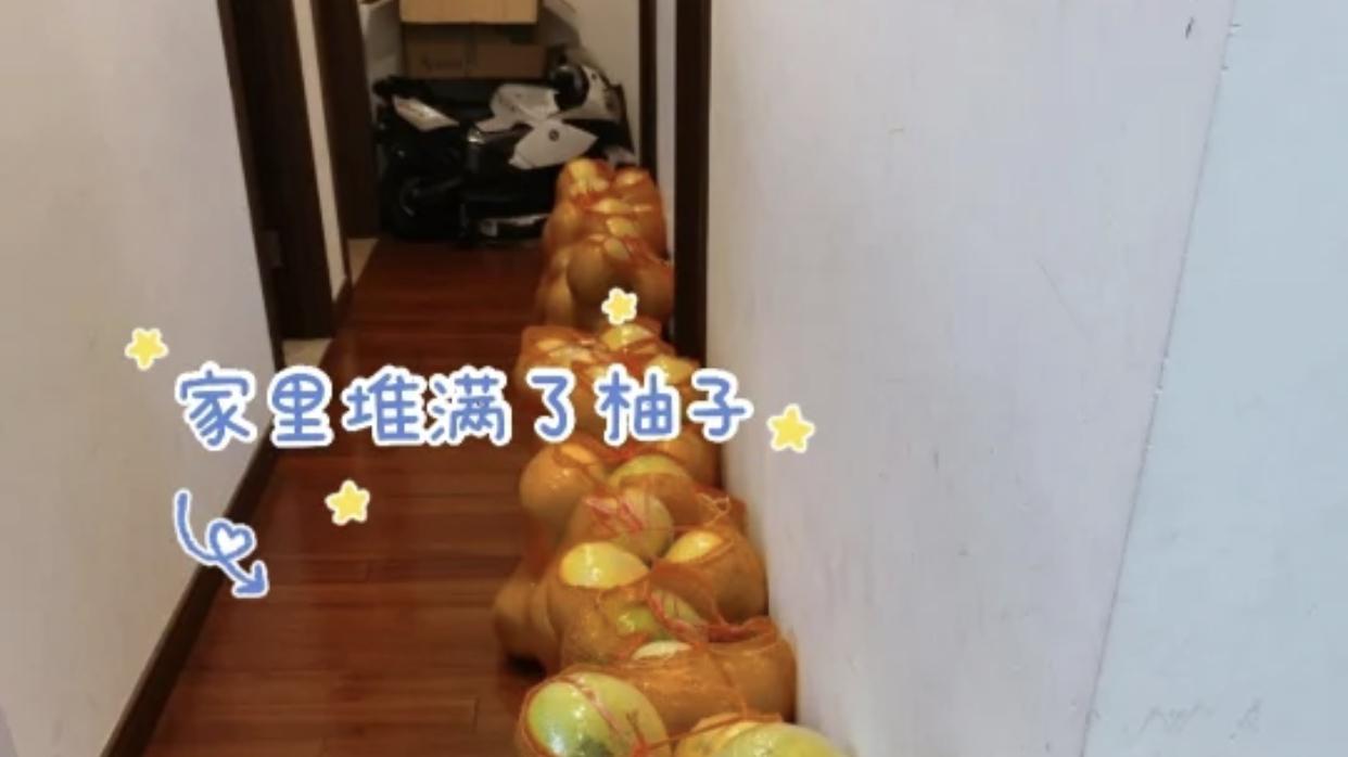 这9个除甲醛的妙招，8个都是智商税，不是误导，是过来人的经验