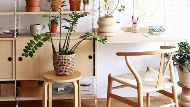 一半白色一半原木，木饰面无印良品风，满屋子花花世界很快乐