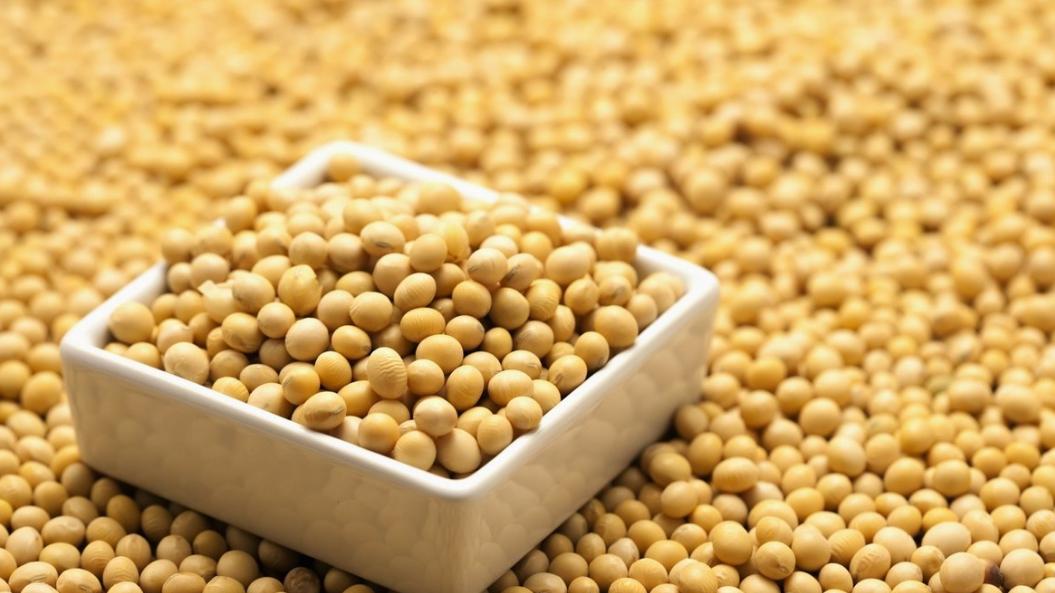 蔬菜|对人体有益的几种蔬菜，日常生活中不妨多选择，做出各种美味