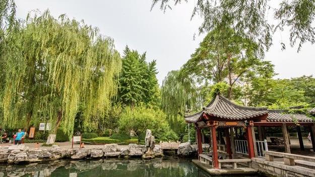 白庙|济南市区有座精美园林，高颜值还免费开放，就在趵突泉对面