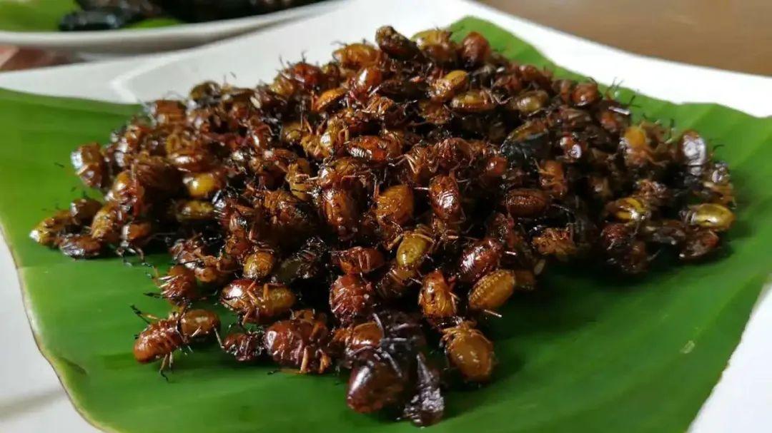 大米|胆小慎入！令人闻风丧胆的云南美食，你能接受吗？