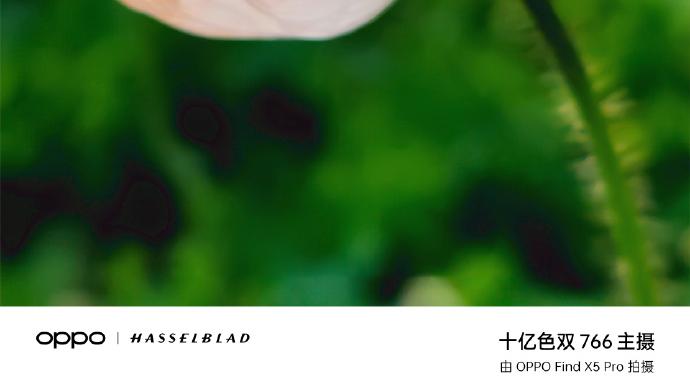 春天如何拍出好看的质感大片？这几个技巧看过都说很实用