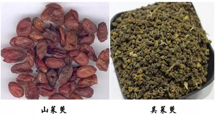 耳鸣|“山茱萸”与“吴茱萸”，名字相似功效大不同！