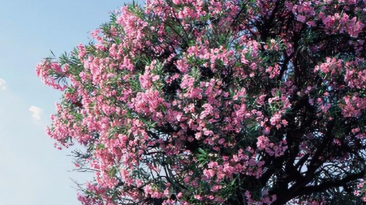 |职场上，一定要保持高颜值