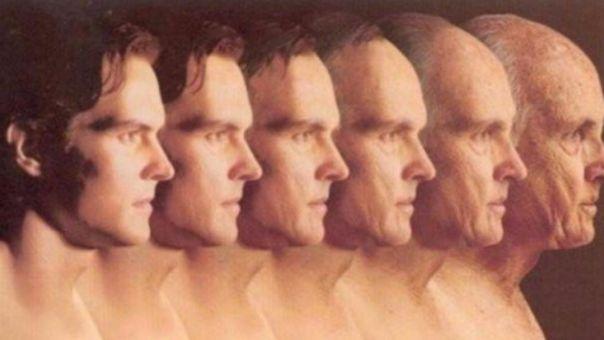 枸杞|帮助你集中注意力，提高记忆力，变得更聪明的超级秘密