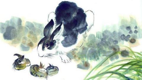 生肖|3月职场步步高升，事业红红火火的生肖，强运来袭，稳扎稳打