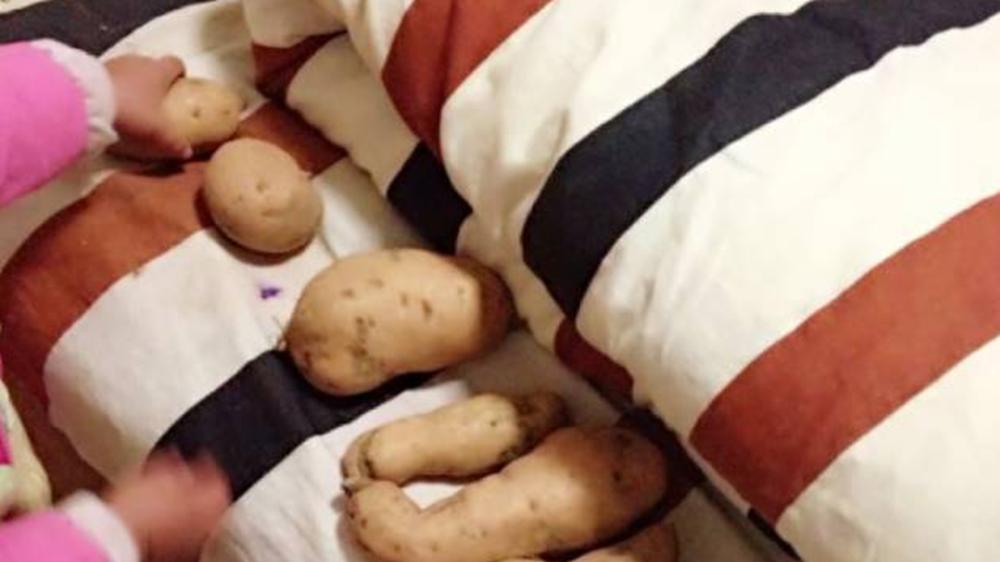 孩子为啥那么喜欢折腾沙发？对空间的敏感性，会存在很长时间