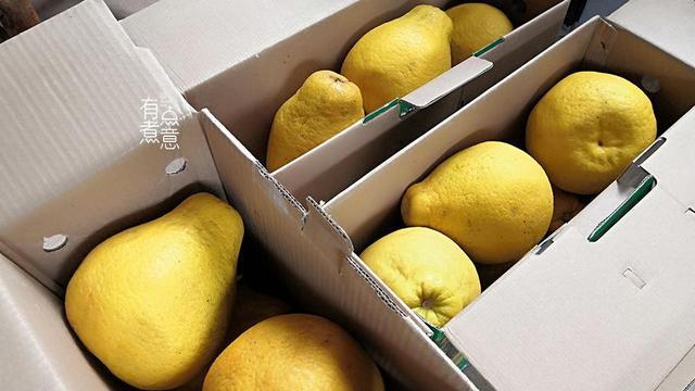 年货|春节过后第9天，盘点完年货后笑出声，一家3口还能再吃半个月！