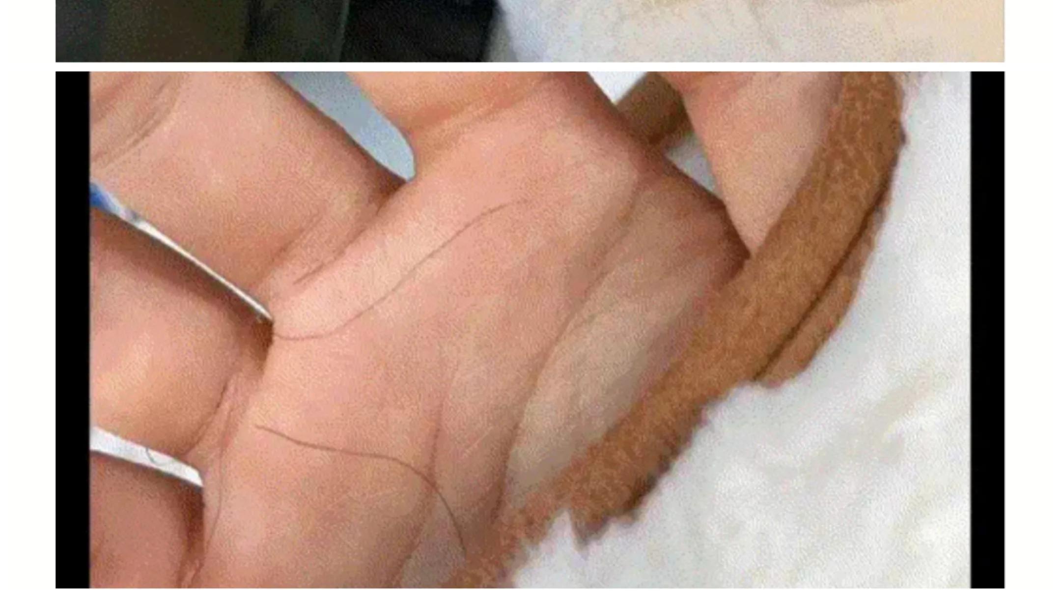 明星|神回复：哪位明星满足了你对异性的所有幻想？