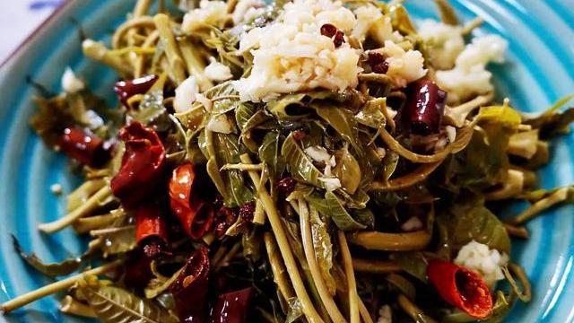 香椿|香椿，“红叶”和“绿叶”哪个好？老菜农：区别挺大，别买错了