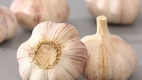 热射病|常吃大蒜可以降低胆固醇？