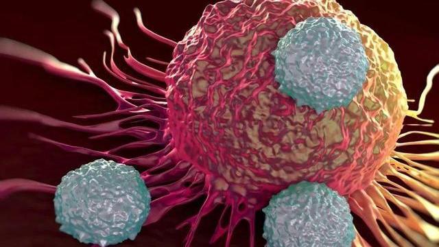 饮食|为了身体健康，这5种东西建议少碰，尽量别碰，不妨做好4件事