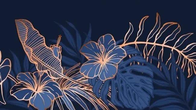 舍然教育&创明窗帘打造「第三届软装女神大赛 」全国10强名单公布