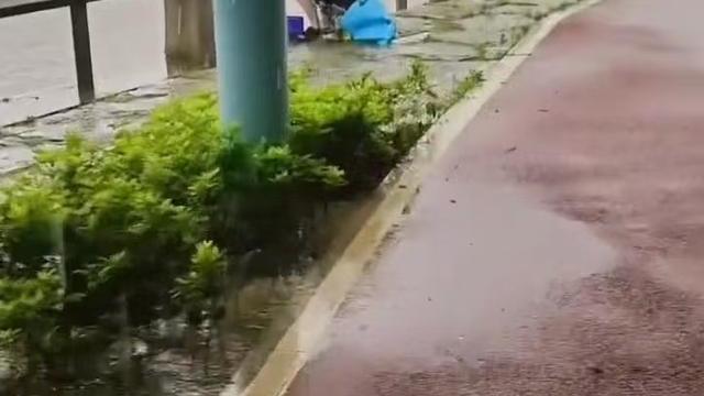 东南亚旅游|女子冒雨去钓鱼，丈夫来到鱼塘边上：孩子哭闹问妈妈去哪了