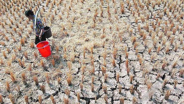 为谁辛苦为谁甜：十二首著名古诗，抒发最悯农的情怀