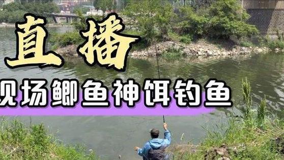 广西|广西一男子不上班沉迷于钓鱼，妻子无奈上网吐槽，网友：偷着乐吧