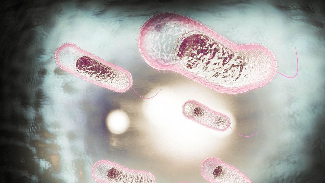 霍乱|一百多年过去，那些感染霍乱的人都经历了什么？有些活活被拉死了